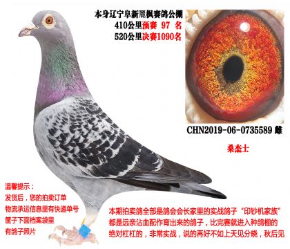 �������㹫��410����Ԥ��97����520�������1090��