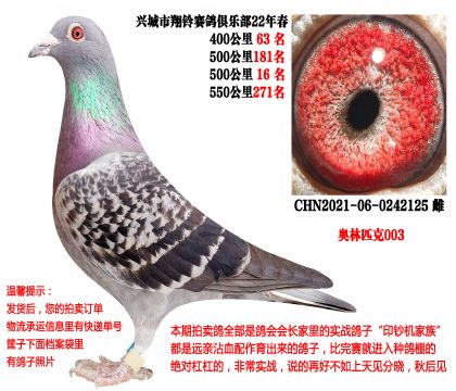 22�괺�Ĺسɼ��루����ƥ��003��