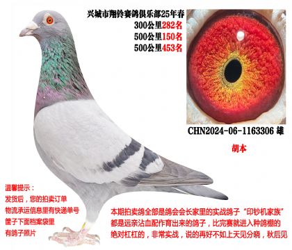 25�괺�ɼ��루������