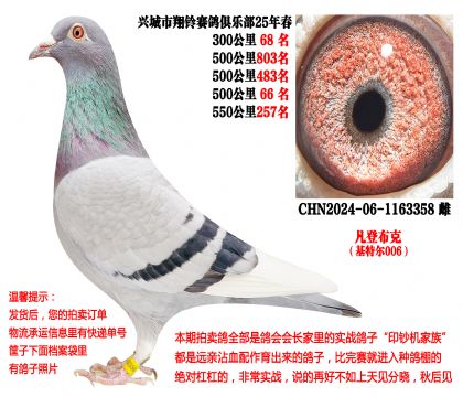 25�괺�Ĺ�500����ɼ��루���ǲ��ˡ����ض�006��