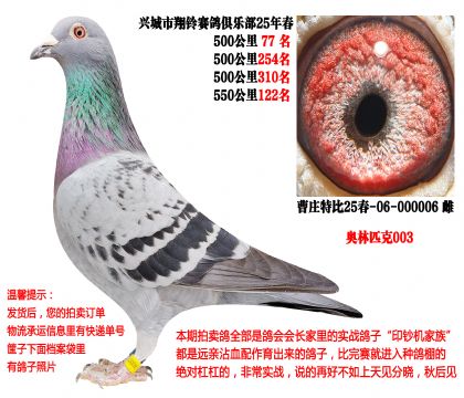 25�괺�Ĺ�500����ɼ��루����ƥ��003��