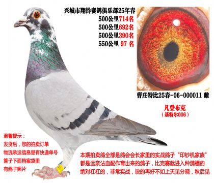 25�괺�Ĺ�500����ɼ��루���ǲ��ˡ����ض�006��