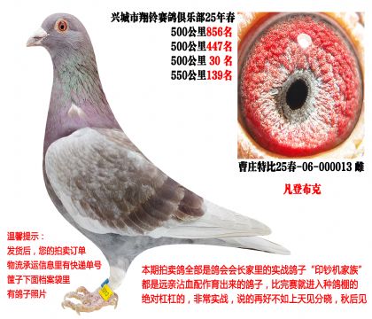 25�괺�Ĺ�500����ɼ��루���ǲ��ˣ�