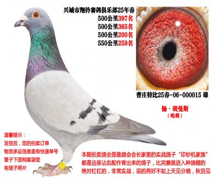 25�괺�Ĺ�500����ɼ��루�����˹��������