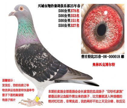 25�괺�Ĺ�500����ɼ��루����ƥ�ˡ������أ�