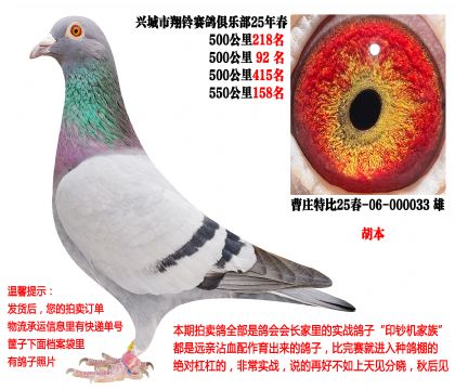 25�괺�Ĺ�500����ɼ��루������