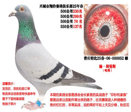 25�괺�Ĺ�500����ɼ��루�����˹��������