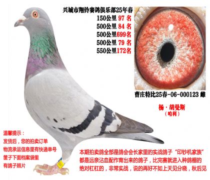 25�괺�Ĺ�500����ɼ��루�����˹��������