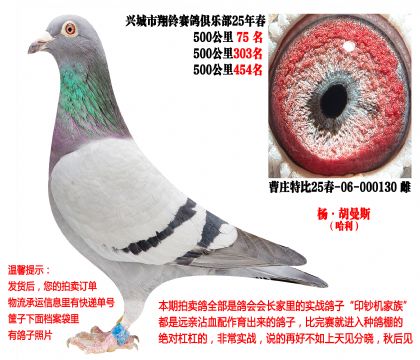 25�괺���500����ɼ��루�����˹��������