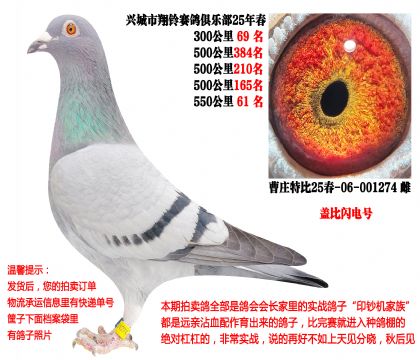 25�괺�Ĺ�500����ɼ��루�Ǳȡ�����ţ�