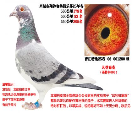 25�괺���500����ɼ��루���ǲ��ˡ����ض�006��