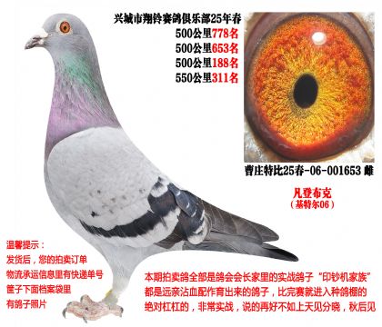 25�괺�Ĺ�500����ɼ��루���ǲ��ˡ����ض�006��