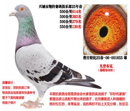 25�괺�Ĺ�500����ɼ��루���ǲ��ˡ����ض�006��