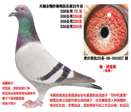 25�괺�Ĺ�500����ɼ��루�����˹��������