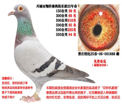 25�괺�Ĺ�500����ɼ��루���ǲ��ˡ����ض�006��