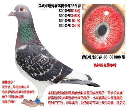 25�괺�Ĺ�500����ɼ��루����ƥ�ˡ������أ�