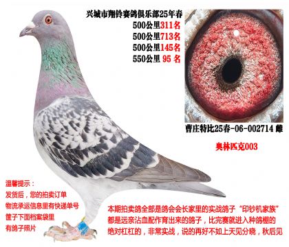 25�괺�Ĺ�500����ɼ��루����ƥ��003��