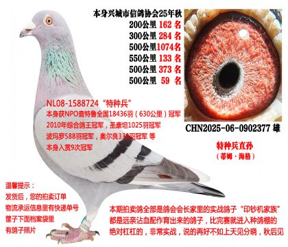 25�����Ĺ�500����ɼ��루���ֱ�ֱ�