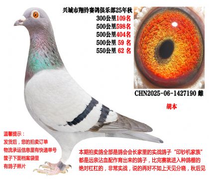 25�����Ĺ�500����ɼ��루������