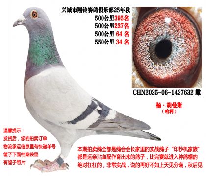 25�괺�Ĺ�500����ɼ��루�����˹��������