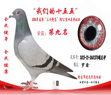 9������2025-22-2602378�ƻ�ɰ