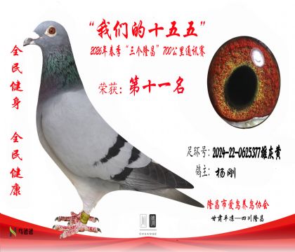 11�����2024-22-0625377�ۻһ�