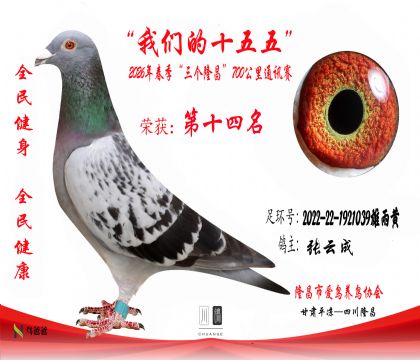 14�����Ƴ�2022-22-1921039�����