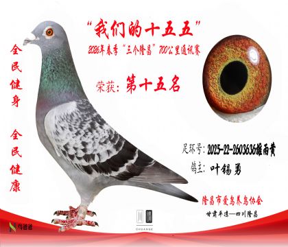 15��Ҷ����2025-22-2603636�����