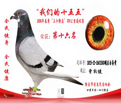 16�����ؽ�2025-22-2603588�ƻҰ�����