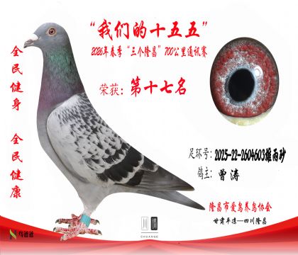 17������2025-22-2604603����ɰ