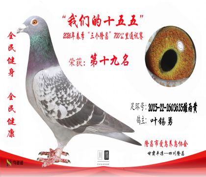 19��Ҷ����2025-22-2603635�����