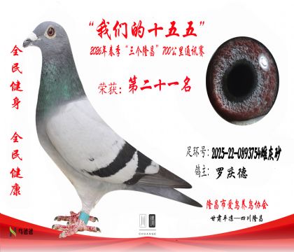 21�������2025-22-0893754�ƻ�ɰ