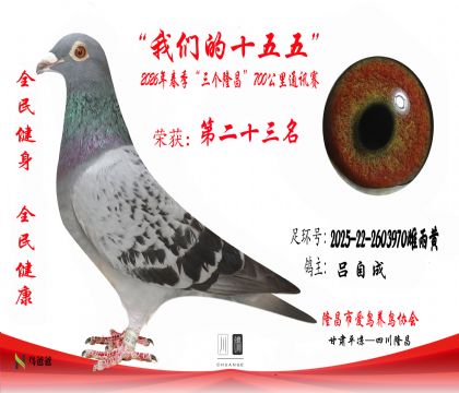 23�����Գ�2025-22-2603970�����