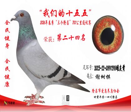 24��л����2025-22-0891298�ƻһ�