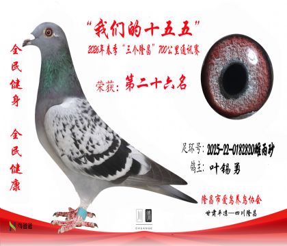 26��Ҷ����2025-22-0182820����ɰ