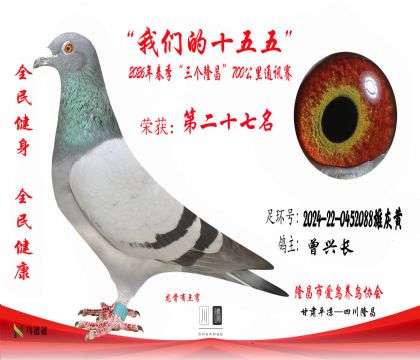 27�����˳�2024-22-0452088�ۻһ�