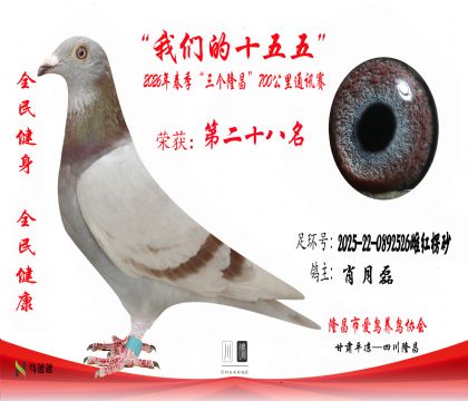 28��Ф����2025-22-0892526�ƺ���ɰ