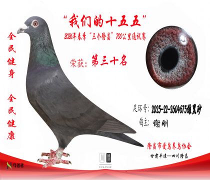 30��л��2025-22-2604675�ۺ�ɰ