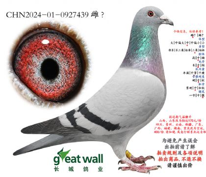 1.���������.0927439