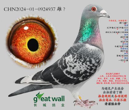 2.���о��������λ�Ӵ�.0924937