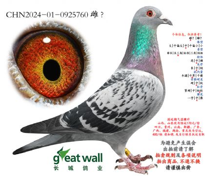 7.��ѻ��ض�x����.0925760