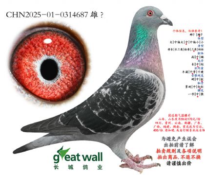 8.����С�ӽ�Ѫ.0314687