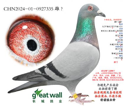 11.��«���Ǿ�ȫƽ��.0927335