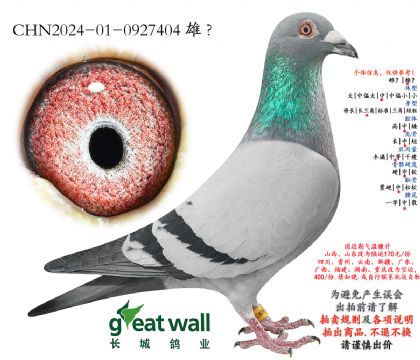 10.�ƽ����ӽ�Ѫ���.0927404