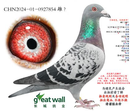 12.ͼ��˹��Ѫ.0927854