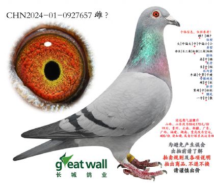 13.������7��ȫƽ��.0927657