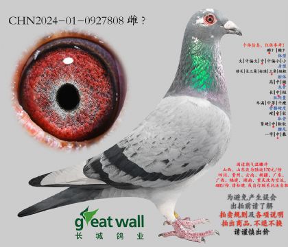 14.���������.0927808