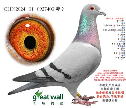 17.����һ�Ż�Ѫ.0927403