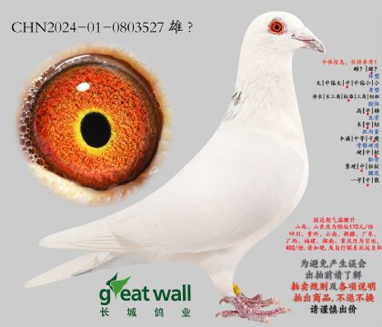 16.������35���.0803527