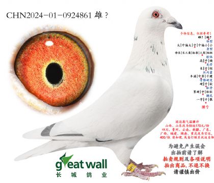 18.ͼ��˹������Ѫ.0924861